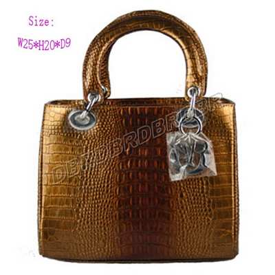 Christian Dior Handbag-9926jinEyw_104