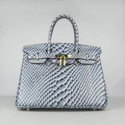 Hermes Handbag-y6088lanywj_310