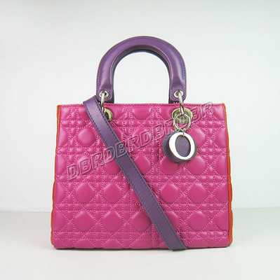 Christian Dior Handbag-6018sthon_239