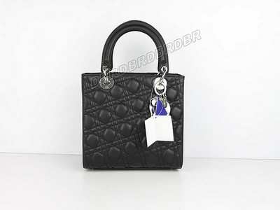 Christian Dior Handbag-20674hei_386